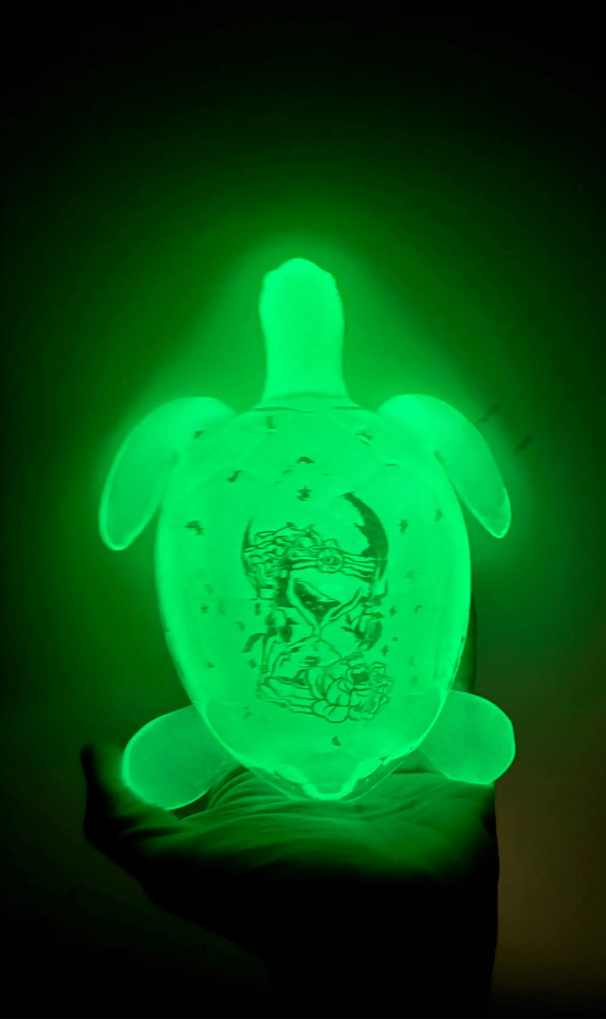 Resin Turtle – Ocean-Inspired Décor (Glow in the Dark) Rider Enchanted Studio