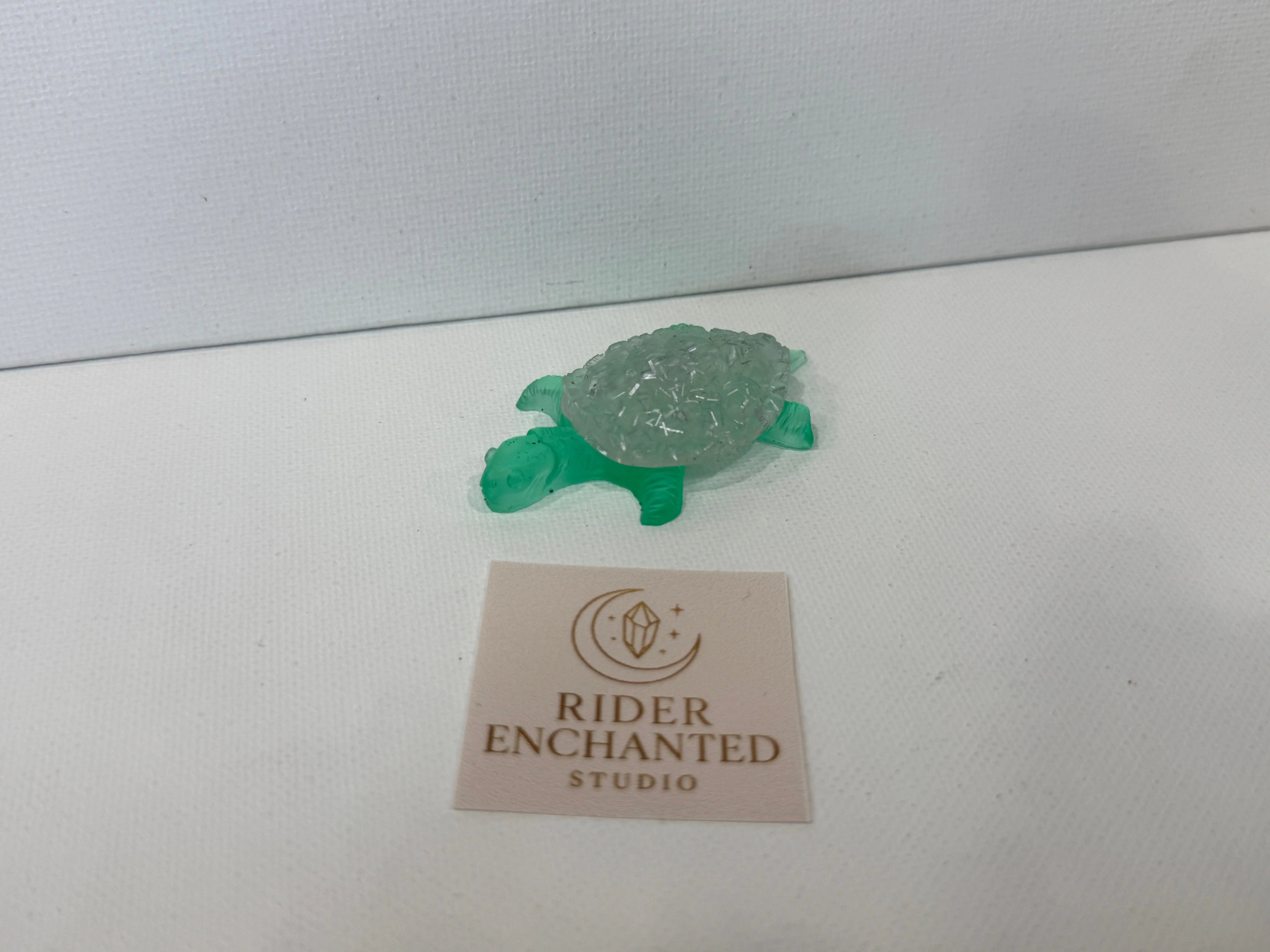 2-Inch Mini Turtle – The Little Buddy You Didn’t Know You Needed Rider Enchanted Studio