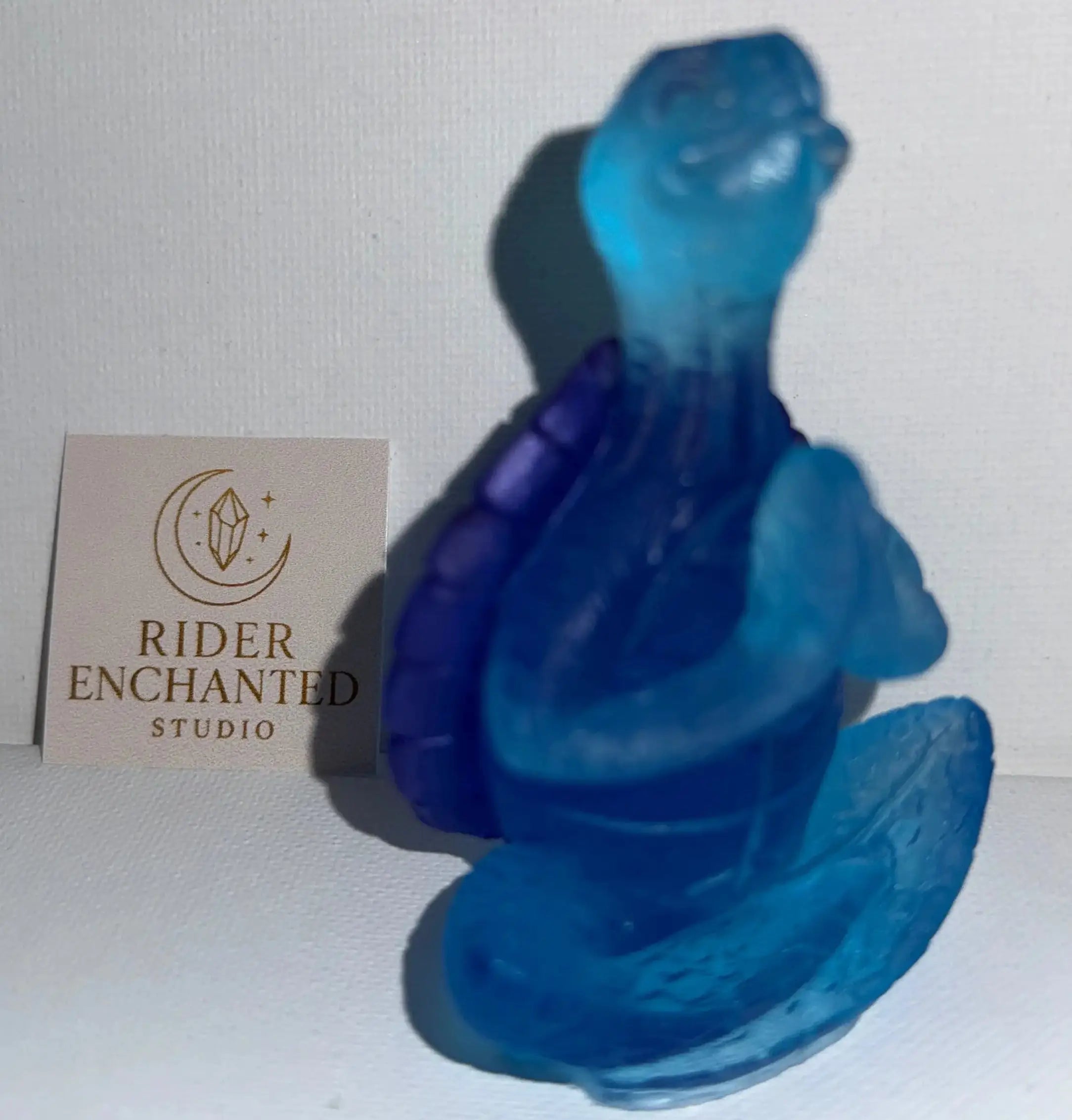 Zen Turtle Rider Enchanted Studio