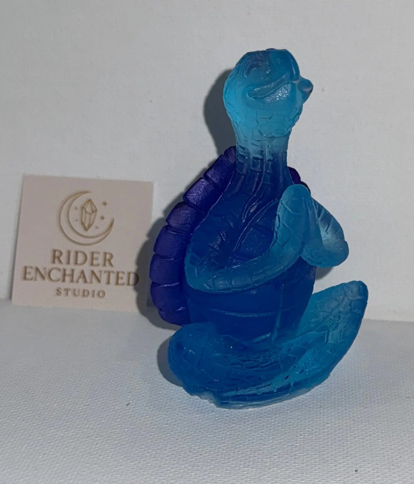 Zen Turtle Rider Enchanted Studio