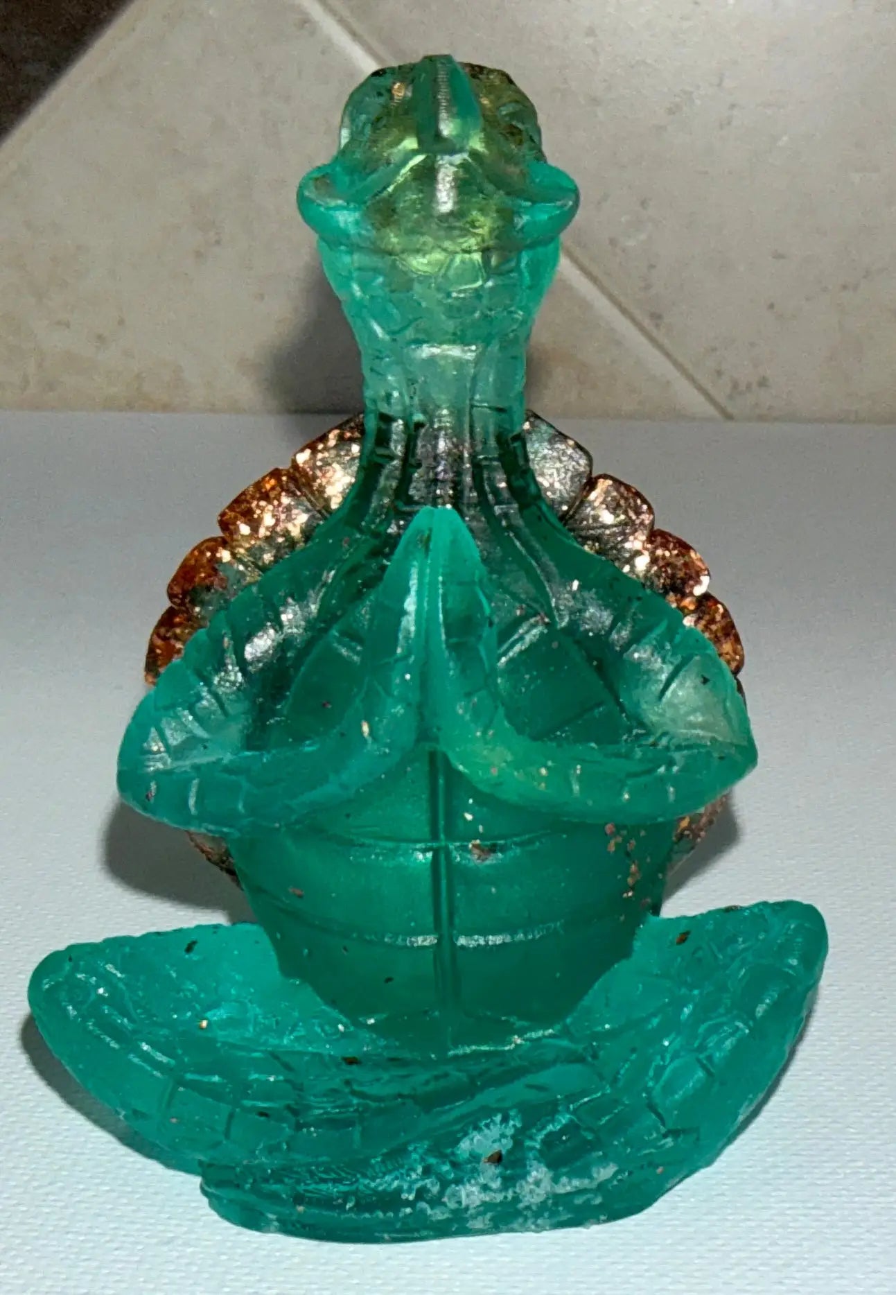 Zen Turtle Rider Enchanted Studio