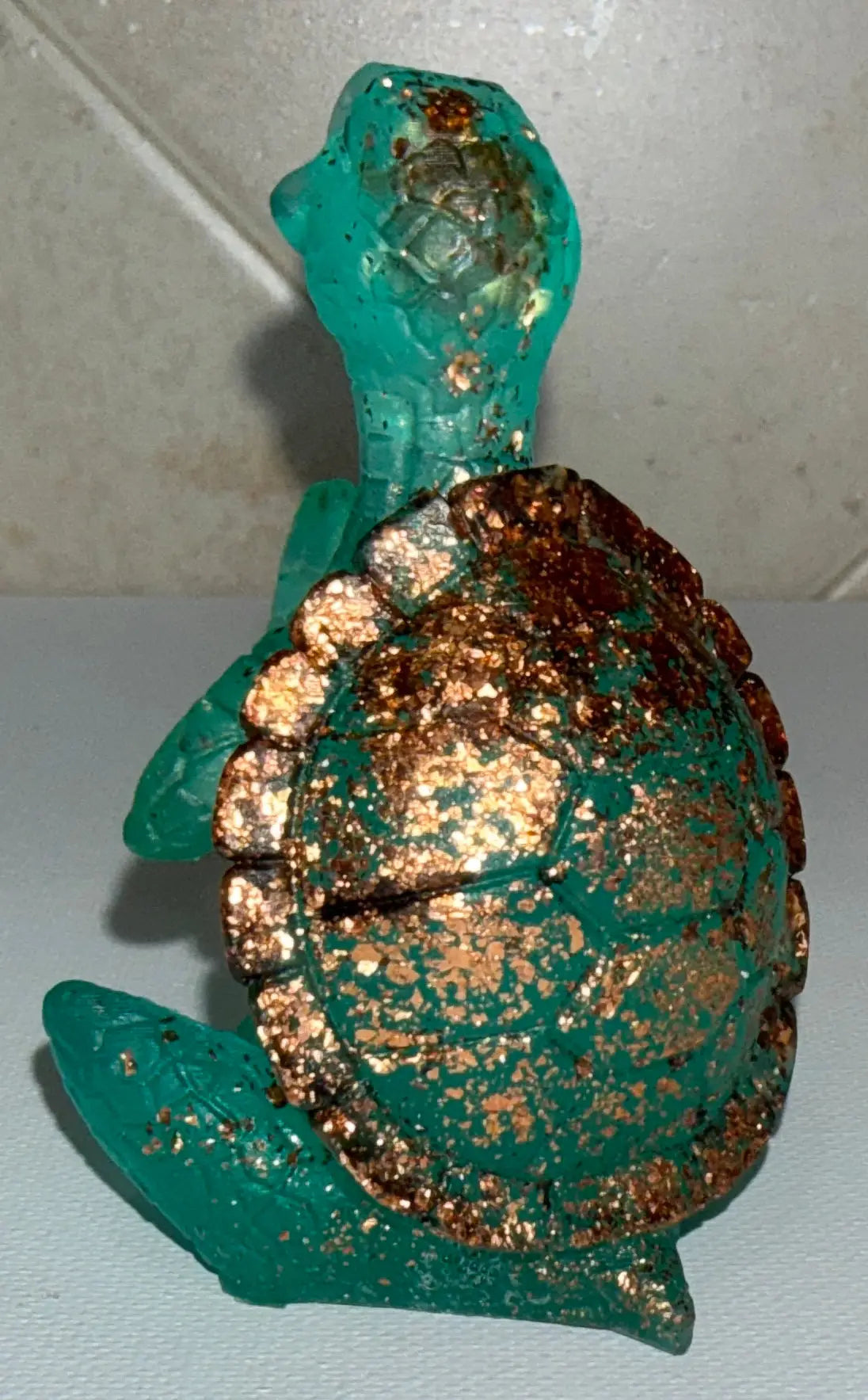 Zen Turtle Rider Enchanted Studio