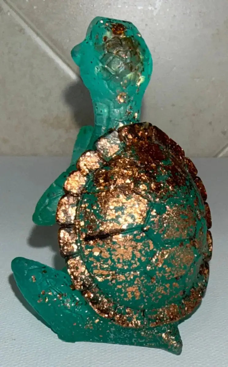 Zen Turtle Rider Enchanted Studio
